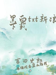 黑白txt新浪下载