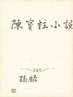 陈宝柱小说