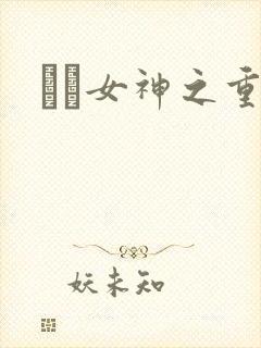 鹡鸰女神之重生