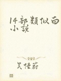 14部类似白洁小说