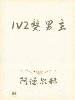 1V2双男主