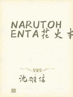 NARUTOHENTA花火本子
