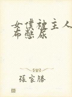 女仆被主人用胶布憋尿