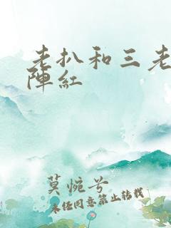 老扒和三老扒和阵红