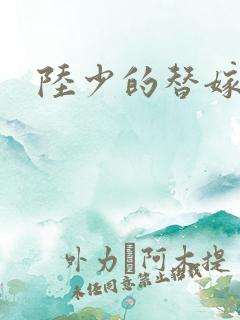 陆少的替嫁宠妻