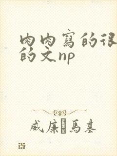 肉肉写的很细致的文np