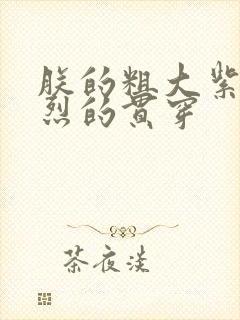 朕的粗大紫红猛烈的贯穿