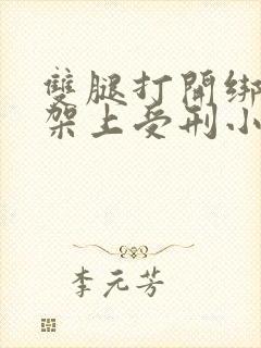 双腿打开绑在刑架上受刑小说