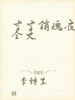 寸寸销魂夜春光全文