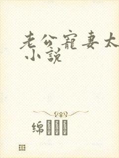 老公宠妻太甜蜜 小说