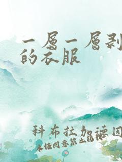 一层一层剥开你的衣服