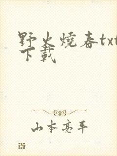 野火烧春txt下载