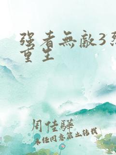 强者无敌3烈火重生