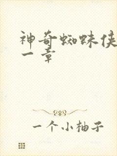 神奇蜘蛛侠第十一章