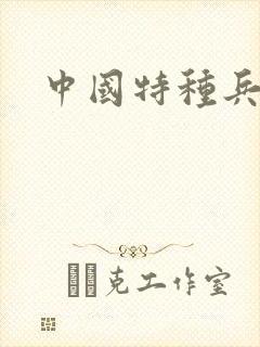 中国特种兵小说