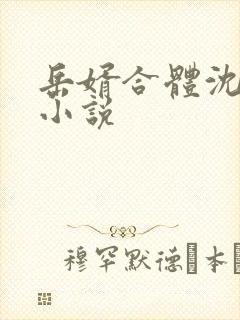 岳婿合体沈绝的小说