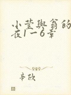 小莹与翁的销魂夜1一6章