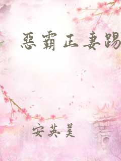 恶霸正妻踢娇妾