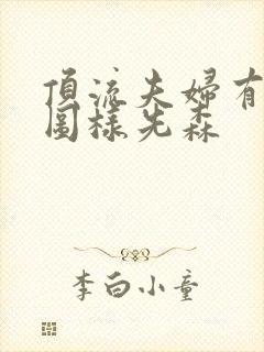 顶流夫妇有点甜图样先森