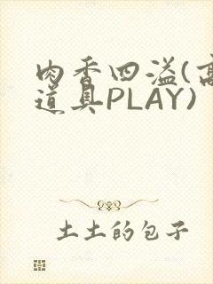 肉香四溢(高H道具PLAY)