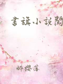 书旗小说阅读网