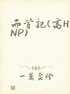 面首记(高H NP)