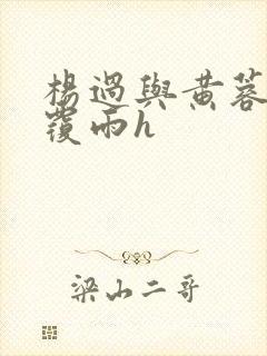 杨过与黄蓉翻云覆雨h