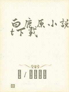 白鹿原小说txt下载