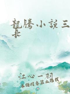 龙腾小说三宝局长