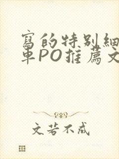 写的特别细的开车PO推荐文多人