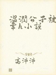 温润公子被脔日常h小说