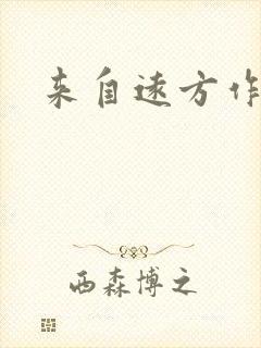 来自远方作品集