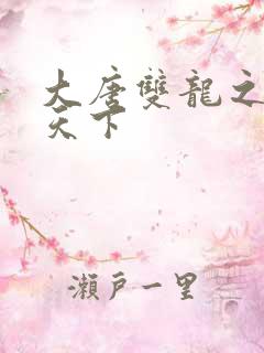 大唐双龙之无敌天下