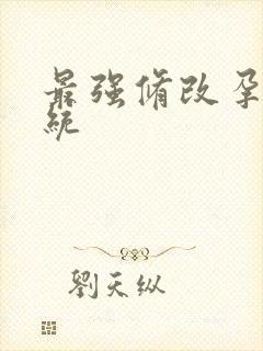 最强修改孕妇系统