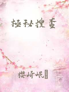 极秘搜查