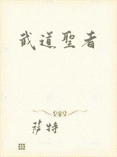 武道圣者