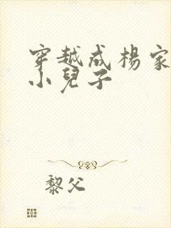 穿越成杨家将最小儿子