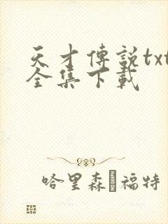 天才传说txt全集下载