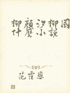 柳颜汐柳国安是什么小说