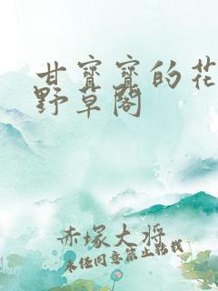 甘宝宝的花苞澜野草阁