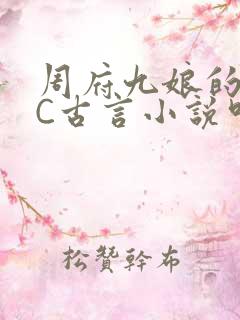 周府九娘的NPC古言小说叫什么