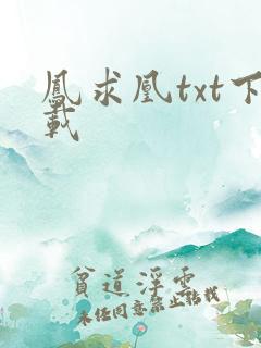凤求凰txt下载