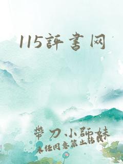 115评书网