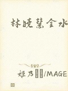 林晓慧金水全文
