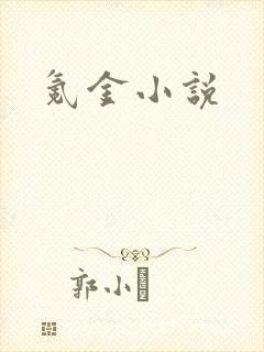 氪金小说