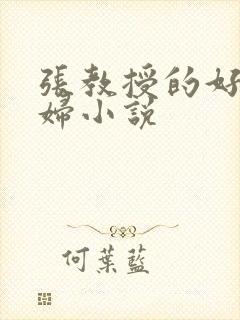 张教授的好儿媳妇小说