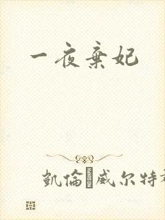 一夜弃妃