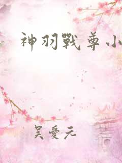 神羽战尊小说