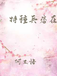 特种兵痞在都市