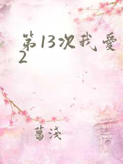 第13次我爱你2